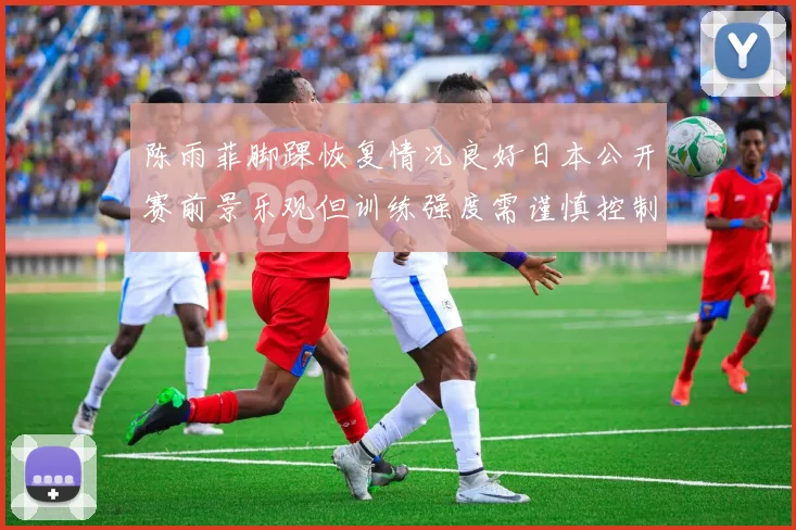 陈雨菲脚踝恢复情况良好日本公开赛前景乐观但训练强度需谨慎控制